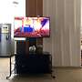 Charming 3 Bedroom Apartment in San Miguelito, Panama City