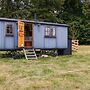 Drovers Hill at Stonor - Redwood - Shepherds hut