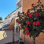 Molong Motor Inn