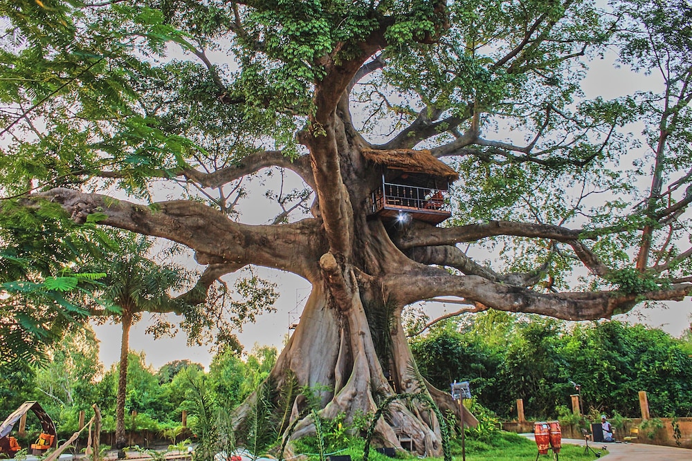 Wassado cultural lodging