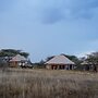 Malaika Ndutu Luxury Camp