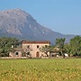 Vall de March Finca Farmhouses by Vida Villas