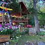 Timber Wolf Resort & Jeep Rentals