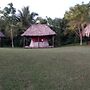 Mayan World Adventures