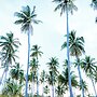 Kanga Beach Paradise