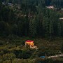 Offbeat Pulga by PACK