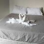 Rent Homecation