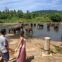 Hotel Elephant Park