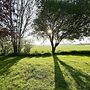 5 Star Holiday Home in Borre