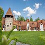 CASTELUL DE LUT