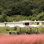 Boeun Ilsanghwa Glamping