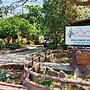 The Whistling Pine Woods