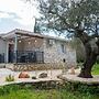 Green Oak Villa in Zakynthos