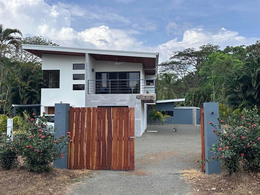 Palmera Azul