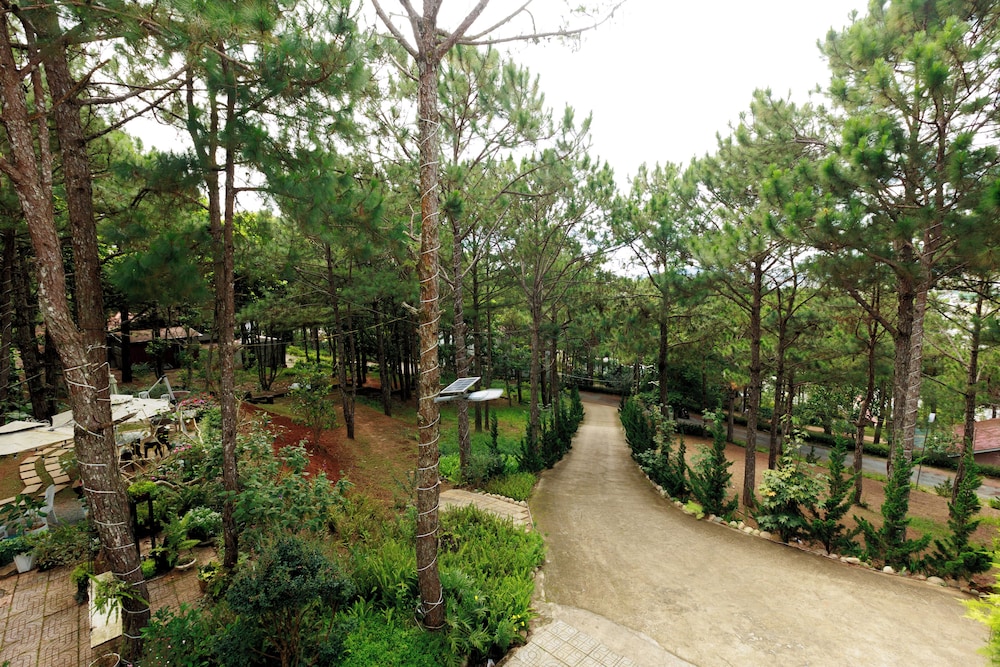 Gia An Hotel Dalat