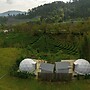 Doi Inthanon Tea Farmstay