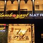 The Flamboyant Natraj