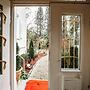Villa Hedwig - Schwarzwald