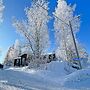 High Rise Cottage