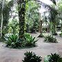 The Jungle Pots