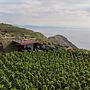 Tenuta di Castellaro Winery & Resort