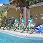 Siesta Heron 3