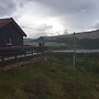 Live in the Realm of the Musk Oxen on Dovrefjell