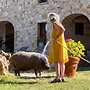 Agriturismo SOLE