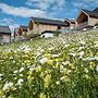 Regitnig‑Lake‑Hideaway am Weissensee