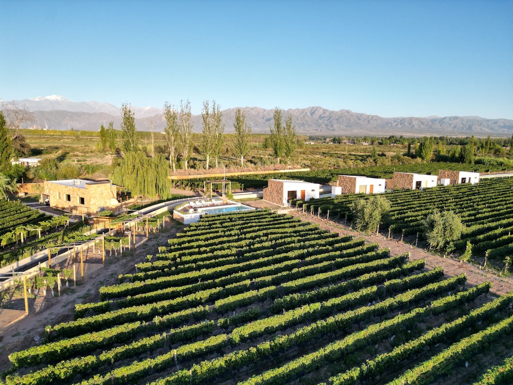 Rincon Del Malbec