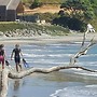 Kiwi Bach at a Secluded Northland East Coast Beach