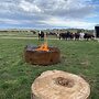 Luxury Farm Retreat Yarrimbah Shear Shed Farmstay Creek Wildlife Fire 