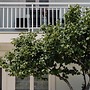 Sunset Bay Villa Kevin