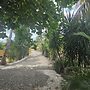 Finca verde