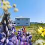 Selid Farm Stay