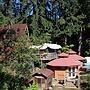 Hillside Deck Cottages - Rustic Pnw Retreat 2 Bedroom Cottage