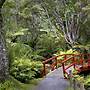 Rapaura Watergardens