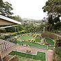 Pinetown Lala Land