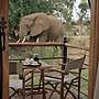 Ashnil Samburu Camp
