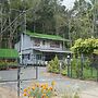 Zeebull Wild Villa