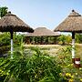 Dragon Fruit Farm Stay