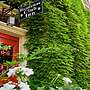 Frontenac Club Inn