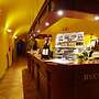 Hotel U Leva