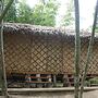 Rain Forest Inn
