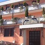 Albergo Ristorante Delfino