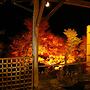 Miyataya Ryokan