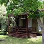 Nathan's Place