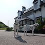 Argyll Hotel