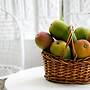 Millsborough Guest Apartments