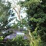 Treehouse Cottage